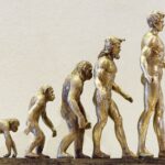 2024: Your Ultimate Guide to Personal Evolution and Product Optimization